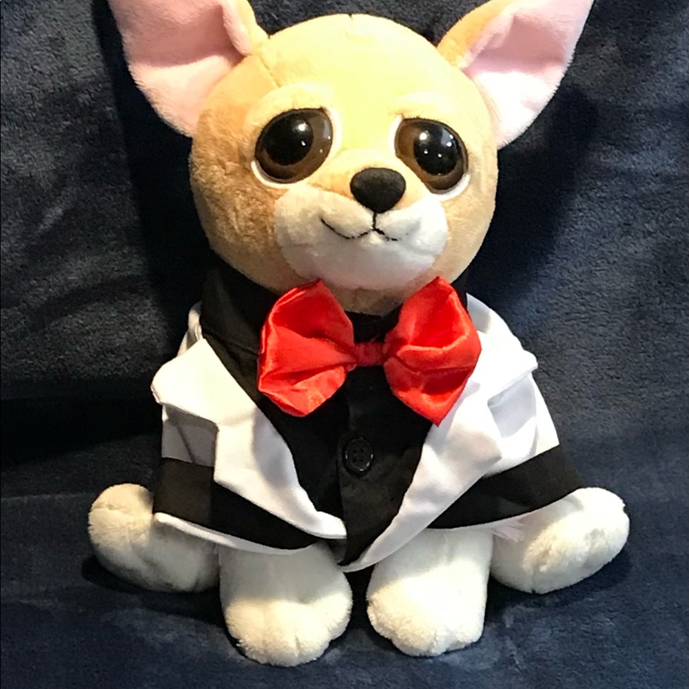 Pet Costume